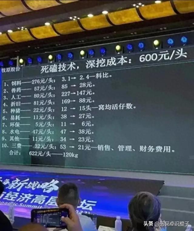 养50头猪一年的利润