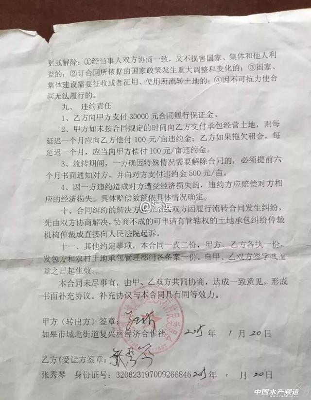 30张虾棚一夜消失，损失几十万，如皋这位水产养殖户究竟遭遇了什么？