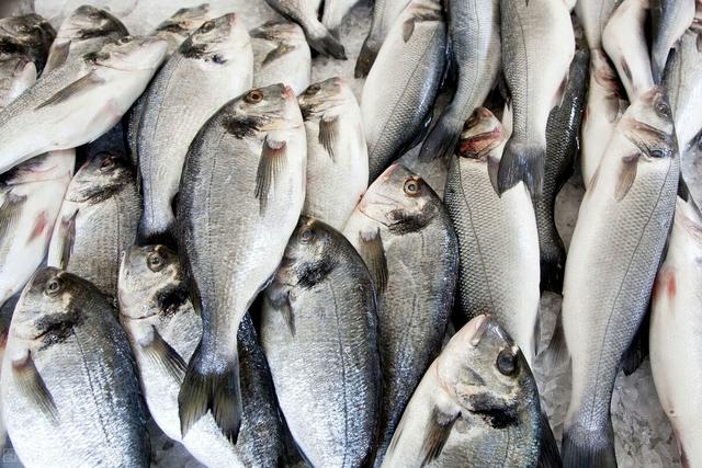 鱼价又飘了！小龙虾涨一倍，甲鱼亩赚50万，鱼农理性养殖