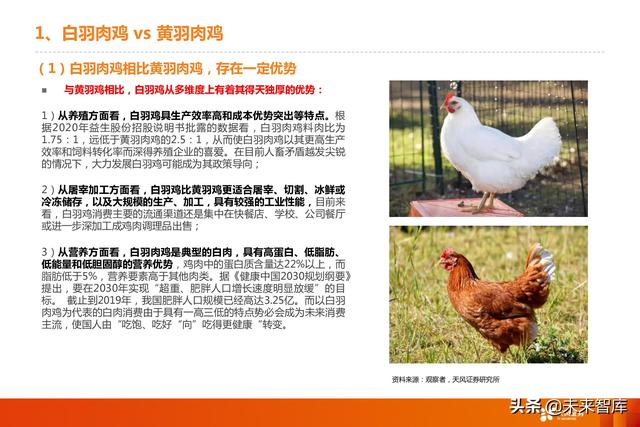 家禽养殖行业深度报告：三维解剖白鸡企业消费转型的竞争力