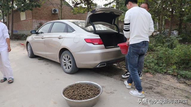 挖虫子“挖”出宝马车，初中文化的他把小豆虫做成大产业