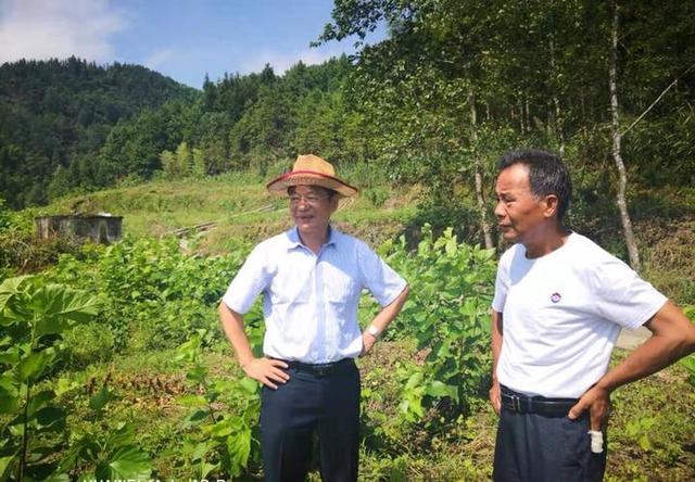 及时雨！83位教师高温天跑到贫困村干了这件事……