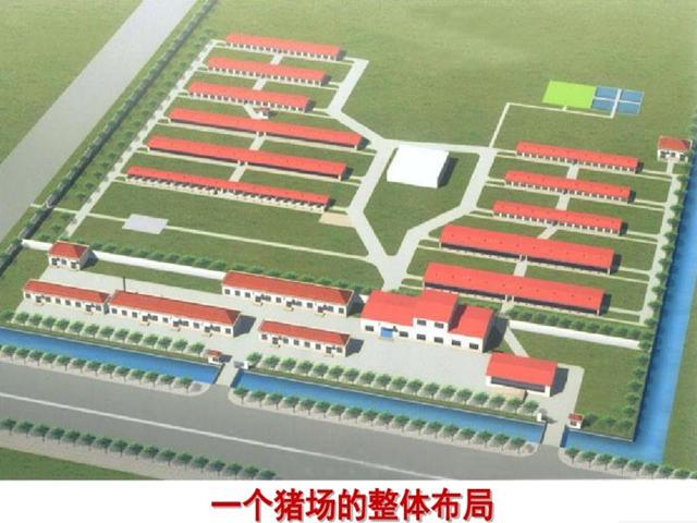 新建养猪场怎样选好场地以及合理布局？一篇文章让您少走弯路