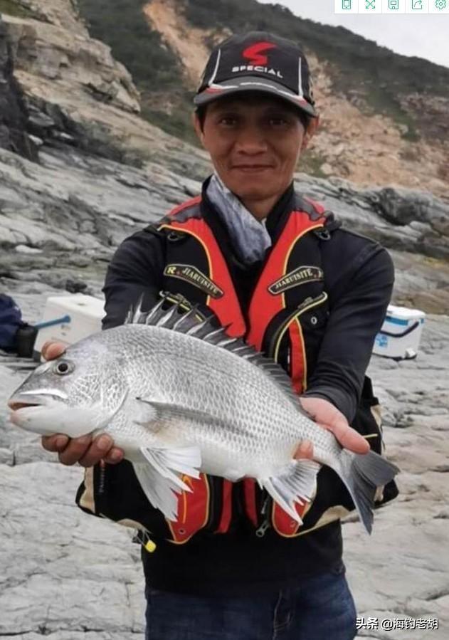 海钓矶钓-如何钓大白腊的钓法分享