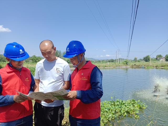 绵阳游仙：内地养起基围虾 电足氧够喜丰收