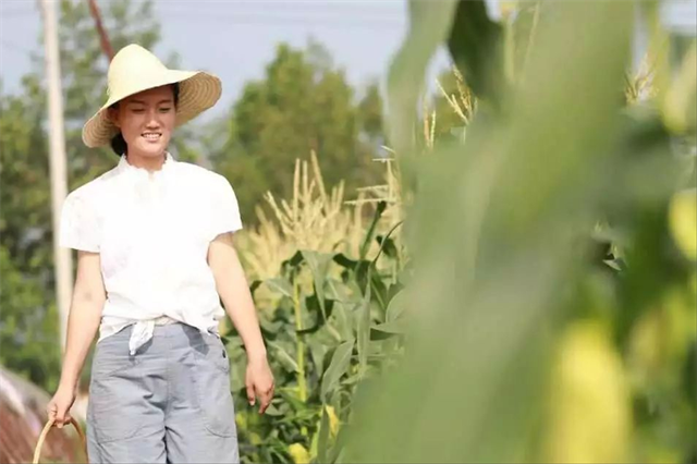 清华博士后，赴美留学后却扎根农田，一年收入将近八百万