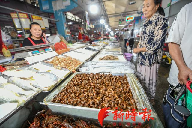 金蝉、蚂蚱能吃了吗？网传“禁食令”解除，权威部门：系误读