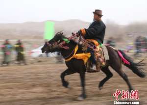 骑乘马养殖基地(甘肃天祝“走马”走俏市场 “马产业”助力牧民脱贫)