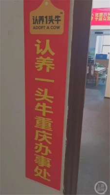 肉牛养殖骗局(此“1头牛”非彼“一头牛” 女子投资“云养牛”被骗上万元)