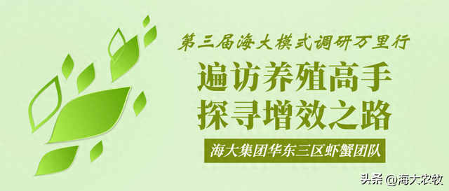 兴化冯老板连续多年精品蟹养殖，今年再次成功，背后的支撑点是？