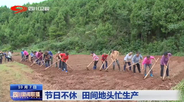 四川新闻联播｜节日不休 田间地头忙生产