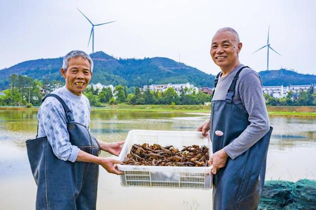 一田双收 江西稻虾共作“钱”景看好