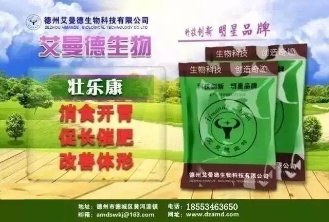 为您解开牛羊养殖赚钱的秘密！