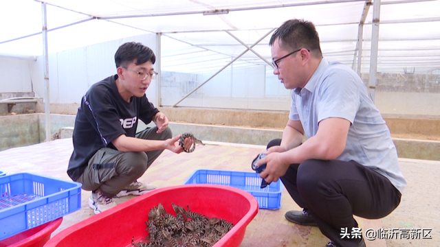 在高新区，有个神秘的“鳄鱼养殖基地”