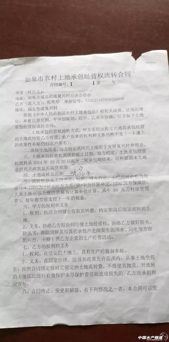 30张虾棚一夜消失，损失几十万，如皋这位水产养殖户究竟遭遇了什么？