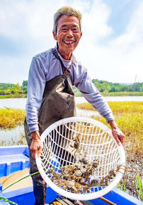 江西湖口：蟹肥人欢