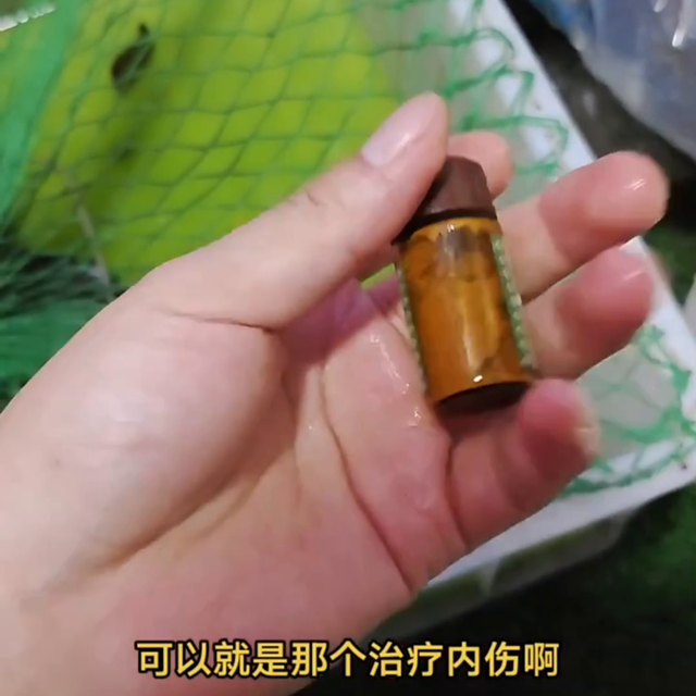 小鳄鱼白眼腐皮如何治疗，如何养殖小鳄鱼，有效预防各种疾...