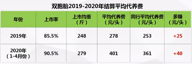 养猪3年进前十，4年进前五，双胞胎是怎么做到的？