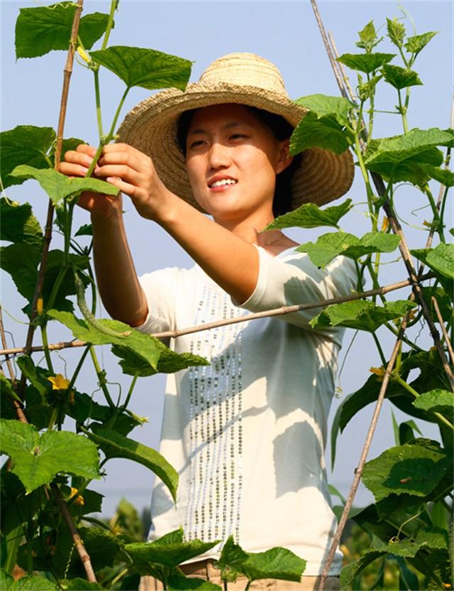 清华博士后，赴美留学后却扎根农田，一年收入将近八百万