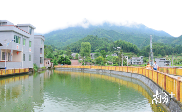 村子成风景，鸭子销路旺，连山这个村干部是怎么做到的？