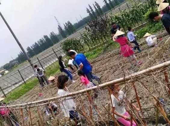 从前车马慢，今日宋家湾