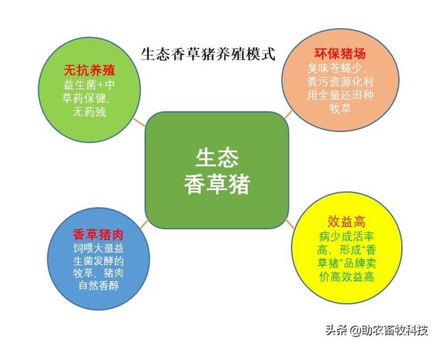 这个猪场采用现代生态循环养殖模式，养殖粪尿水全量还田种植牧草