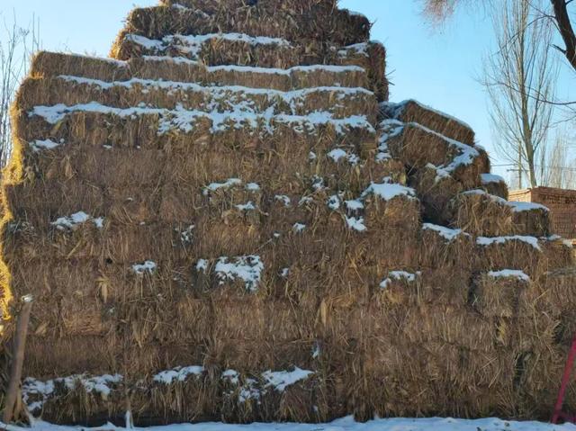 「巩固拓展脱贫攻坚成果」发展特色养殖业“燃动”乡村振兴引擎