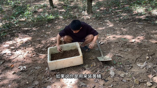 好久没发视频了，今天忙完，抓点蚯蚓给抓黄鳝的朋友#黄鳝#地笼