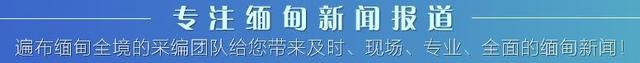 一只鸡卖出21万人民币的高价！这只拥有缅泰血统的鸡很神奇