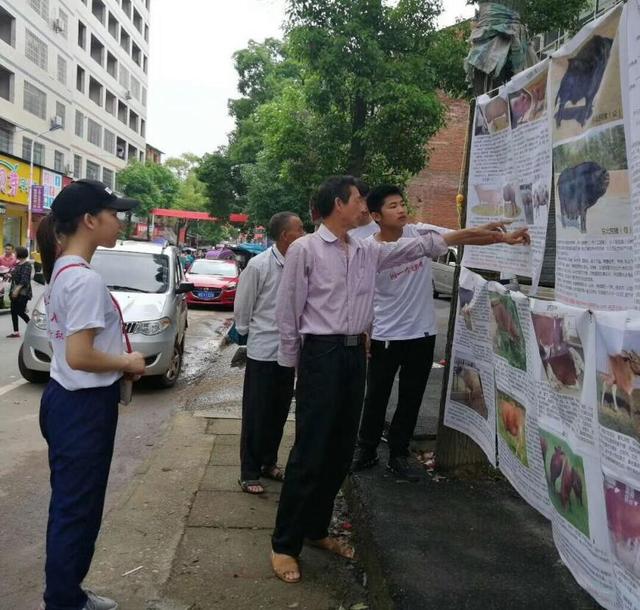 中草药生态养猪，大三学生返乡当起了“猪倌”