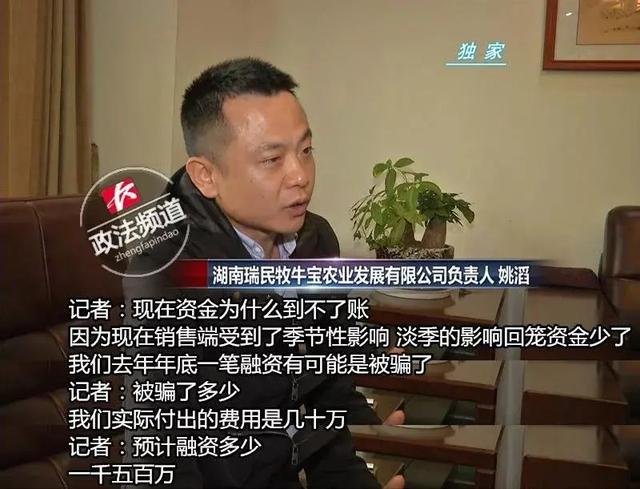 起底云养牛APP大骗局：你以为自己是华农，其实你是竹鼠