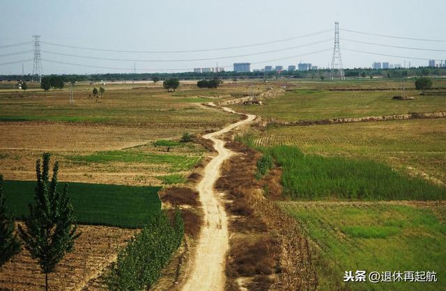 养鹅，这四种场地一定不能选