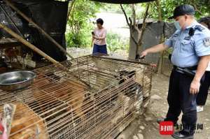 玉林狗肉养殖场(查获疑似非法囤积、贩运犬只点 村民称已存在20年 相关部门：正在开展调查)