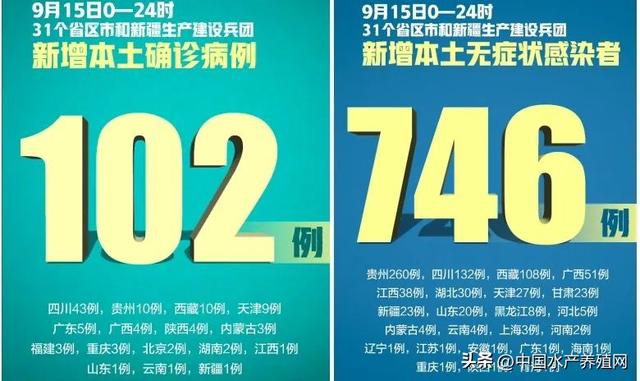 养草鱼也能亏100多万？鱼价很低迷，饲料持续涨，养殖户亏损加剧