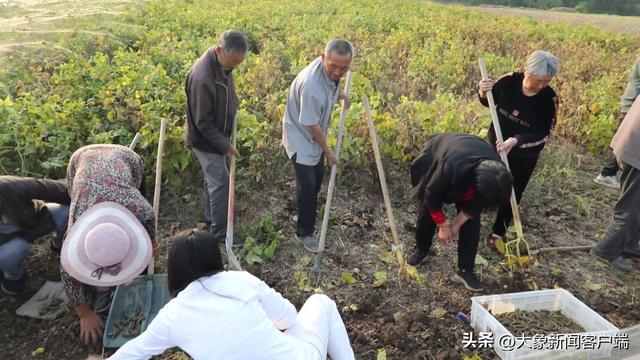 挖虫子“挖”出宝马车，初中文化的他把小豆虫做成大产业