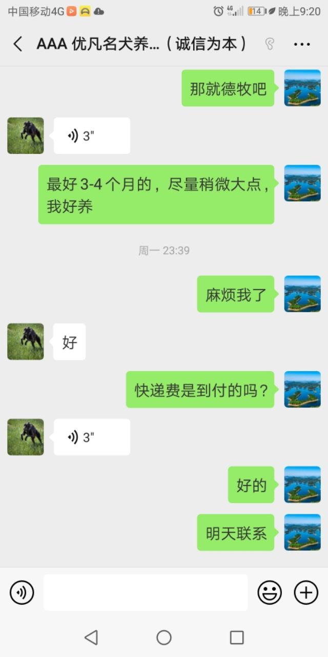 头条的宠物狗广告让我知道了什么叫诚信为本