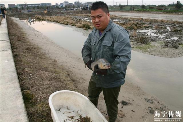 互联网“饵料”撒600亩鱼塘 澳洲海归做起农业电商