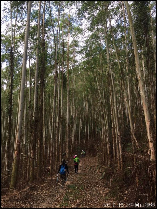 走过山岭，走过岁月，走过我自己