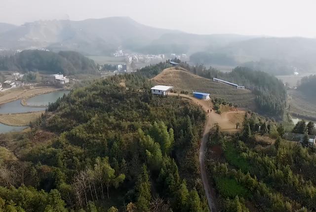 “飞鸡哥”郑普雄：开荒山养土鸡，鸡能斗鹰抓蛇，年赚1000万