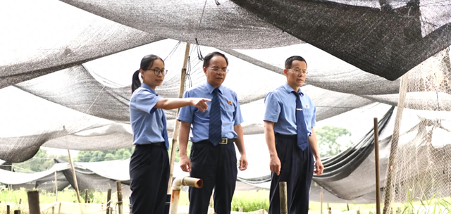 【检察官说案】蛙田之争 公益断后