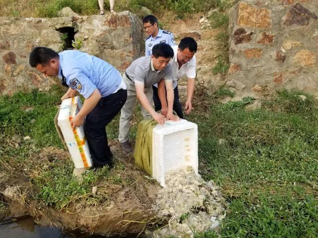 3000余活青蛙“虎口脱险”信阳破获一起非法运输青蛙案