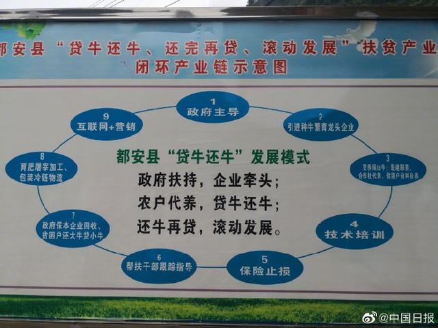 “贷牛还牛”，广西都安肉牛养殖带动农户持续增收