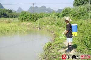 田螺养殖广西(补贴政策好柳州市柳城县新增多个螺蛳养殖基地)