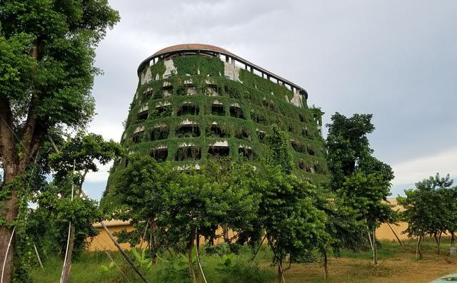 广东惠州惊现“九层龟塔”，实为金钱龟科研基地