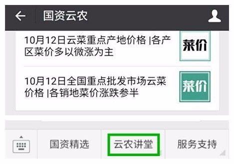 带领150户贫困户创收1000万，版纳“竹鼠大王”的8年养殖路