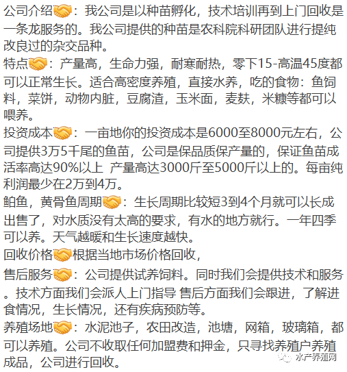 零下15度还能正常生长，养成后还保底15块回收？这个黄颡鱼苗那么神？