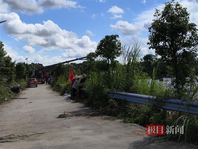 广东茂名数十条鳄鱼逃离养殖场：已抓回44条，抓捕工作进入收尾阶段