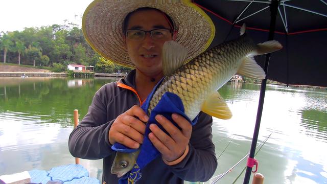 夏天炎热鱼儿会去哪儿？不同种类鱼聚集地不同，草鲤鲫鳊加鲢鳙