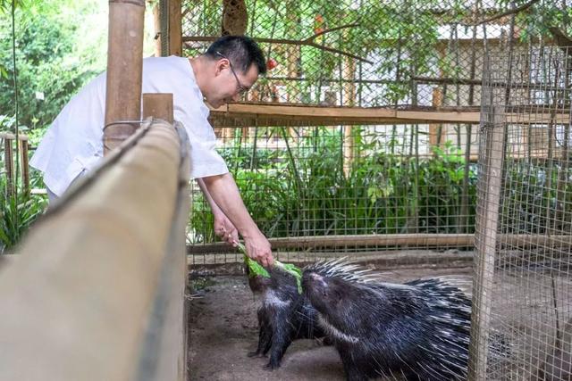 成都教授住10亩院子，把家变成动物园，儿子骑驴上学