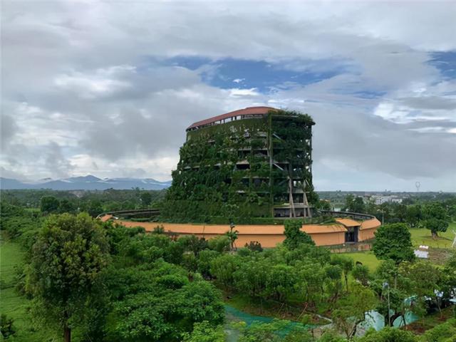 广东惠州惊现“九层龟塔”，实为金钱龟科研基地